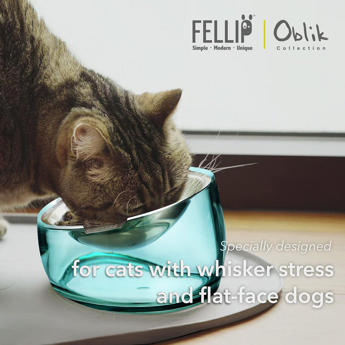 Felli Oblik Elevated Cat Bowl Removable Stainless Steel Wide Dish for Dry Wet Food Feeding & Dishwasher Clean, Slanted Whisker Fatigue Friendly Metal Plate (Classic, 0.5 Cups Shallow Dish)