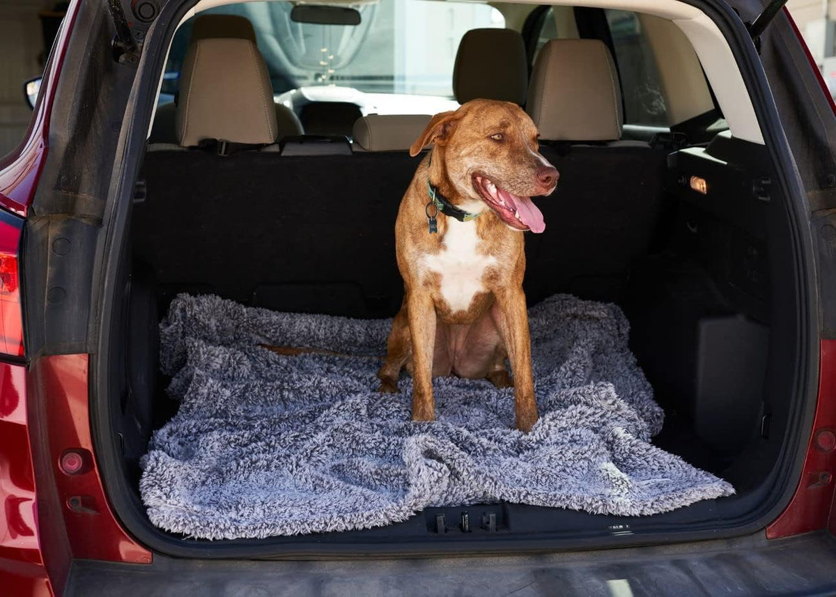 Pet Parents Pet Blanket - Water Resistant, Cat & Dog Blanket for Small, Medium & Large Dogs, 24"x32"