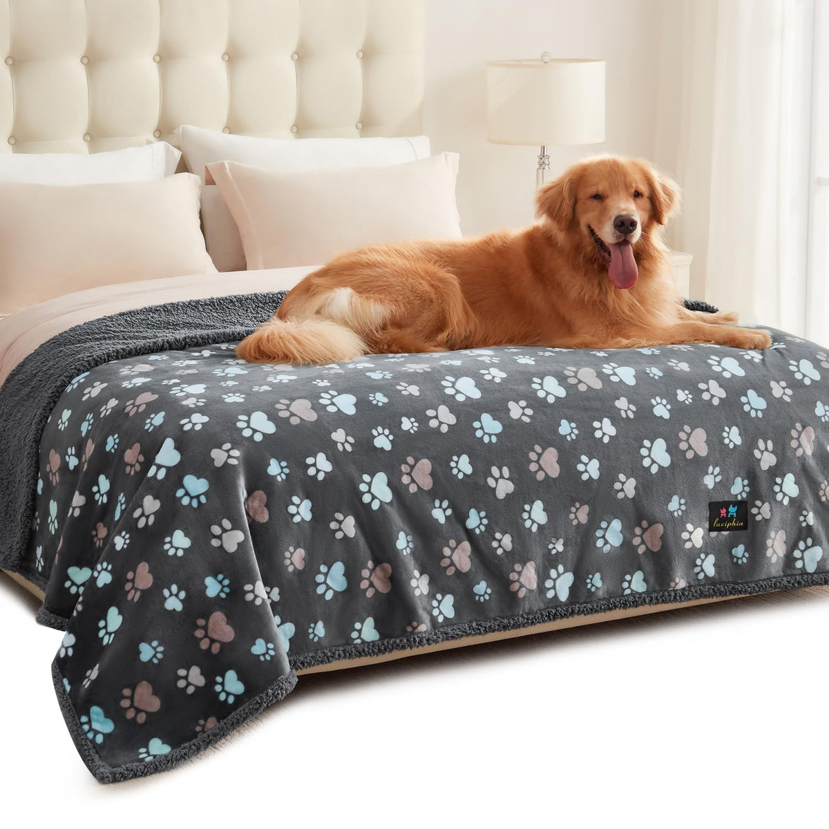 Luciphia Waterproof Dog Blanket Reversible Sherpa Fleece for Small Dogs Cat