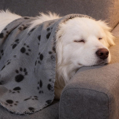12 Pcs Puppy Blanket Warm Felt Throw Sleep Mat, 28.3 x 24 Inch Soft Fluffy Fleece Pet Blankets with Paw Print for Dogs Cats Small Animals