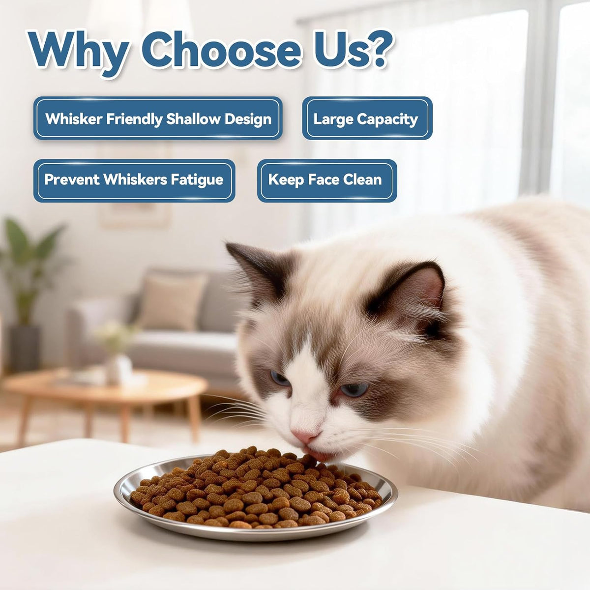 8 Pack Stainless Steel Cat Food Bowls, Cat Dishes Shallow Whisker-Friendly Metal Dishes with Non-Slip Silicone Bottom, Easy to Clean Indoor Feeding Bowls for Cats, Kittens & Small Dogs (6.7")