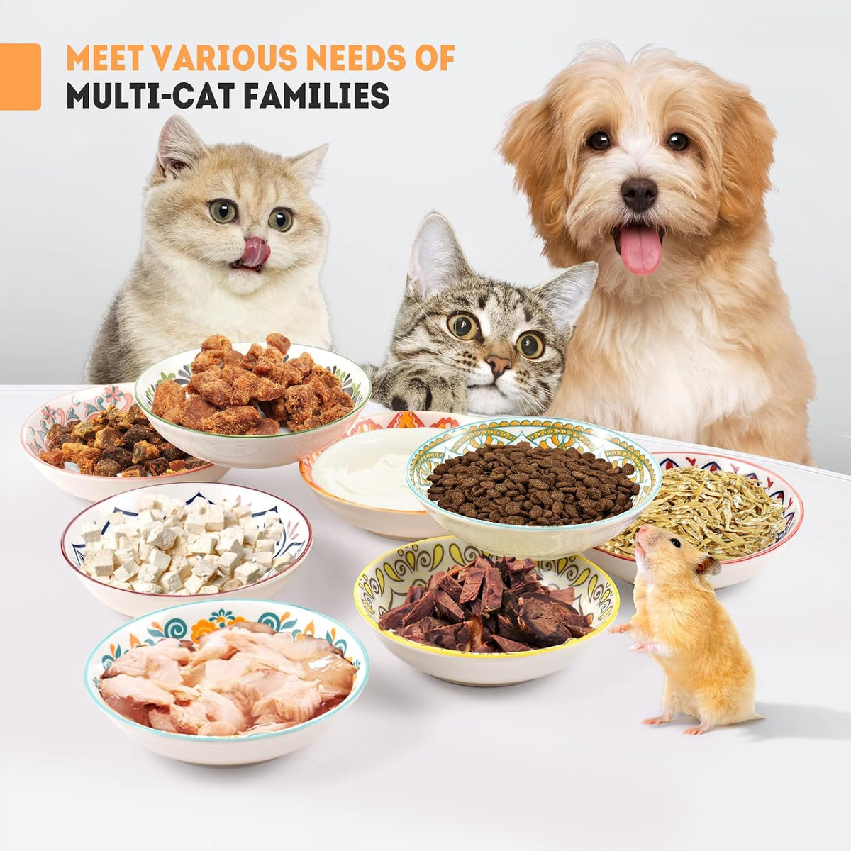 Cat Food Bowl, 8 Pack Ceramic Cat Dishes for Food & Water, Kitten Bowls Set