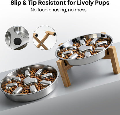 Elevated Slow Feeder Dog Bowls 2 Cups for 15-60 LBS Breed Puppy