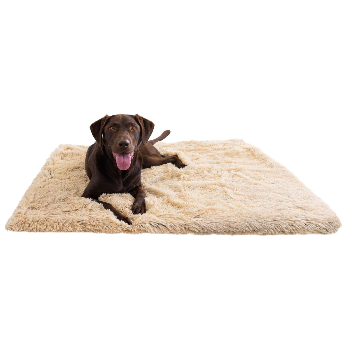 Best Friends by Sheri Dog Blanket, Shag Faux Fur, Taupe, 30" x 40"