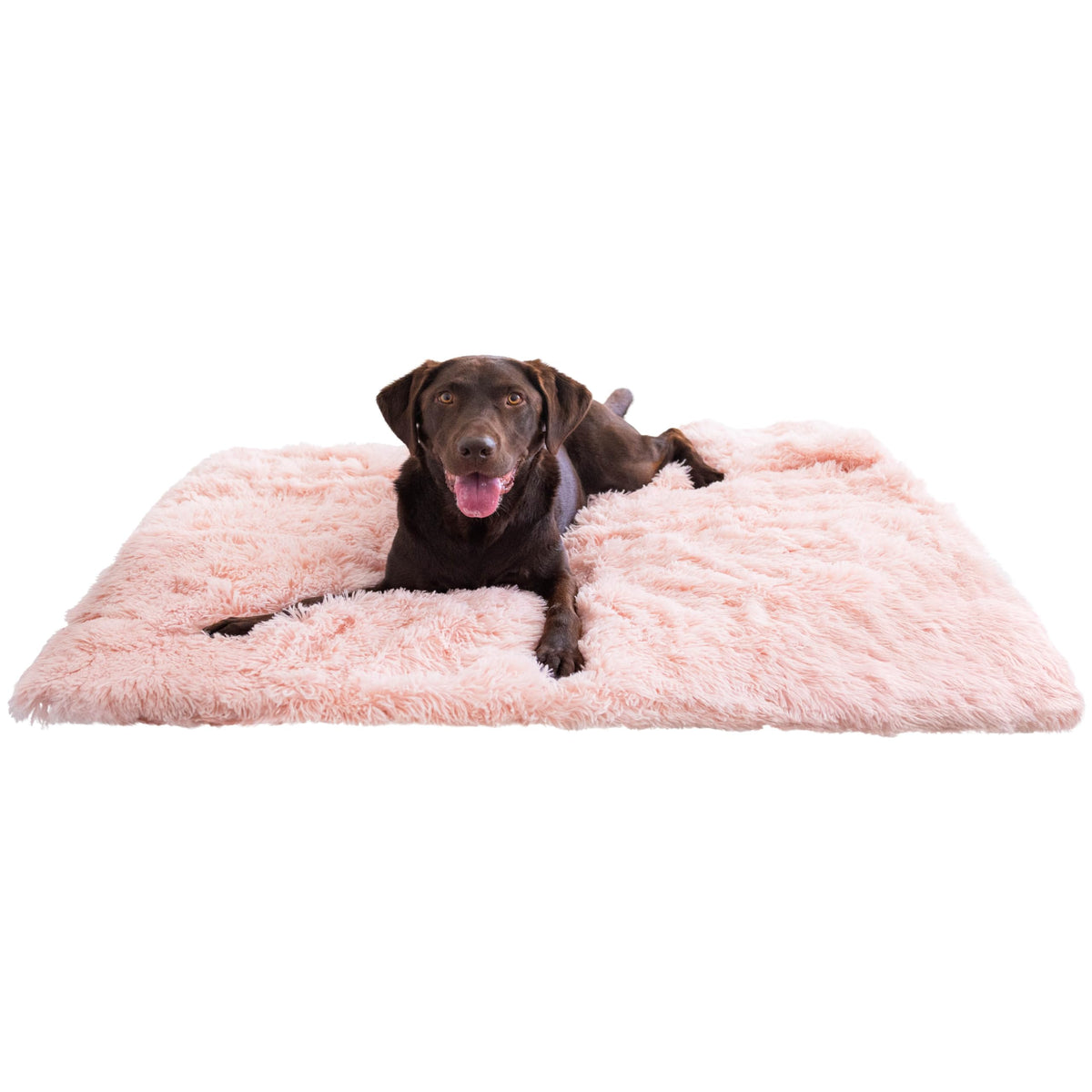Best Friends by Sheri Dog Blanket, Shag Faux Fur, Taupe, 30" x 40"