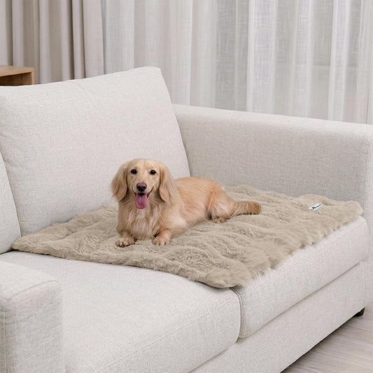 Paw Inspired Waterproof Dog Blanket, 32x24 Inch Size, Beige