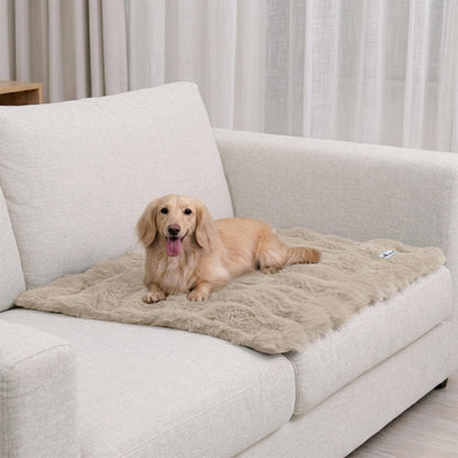 Paw Inspired Waterproof Dog Blanket, 32x24 Inch Size, Beige