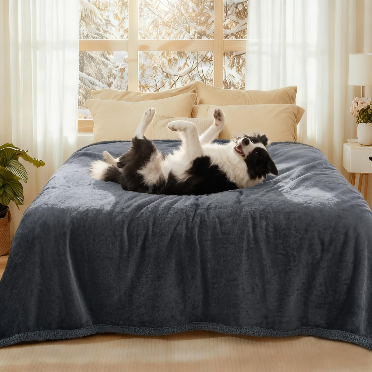 Luciphia Waterproof Bed Blanket Washable,Soft Sherpa Fleece Puppy Reversible Throw Blankets for Small Dog Cat, Furniture Cover Protector Couch Bed from Liquid Pee and Pet Fur, Black, 40" x 28"