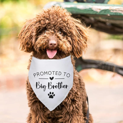 Promoted to Big Brother White Pet Dog Bandanas Triangle Scarf Bandanas Bibs Birthday Party Props Gender Revealing Photo Props Accessories for Pet Dog Lovers Gifts