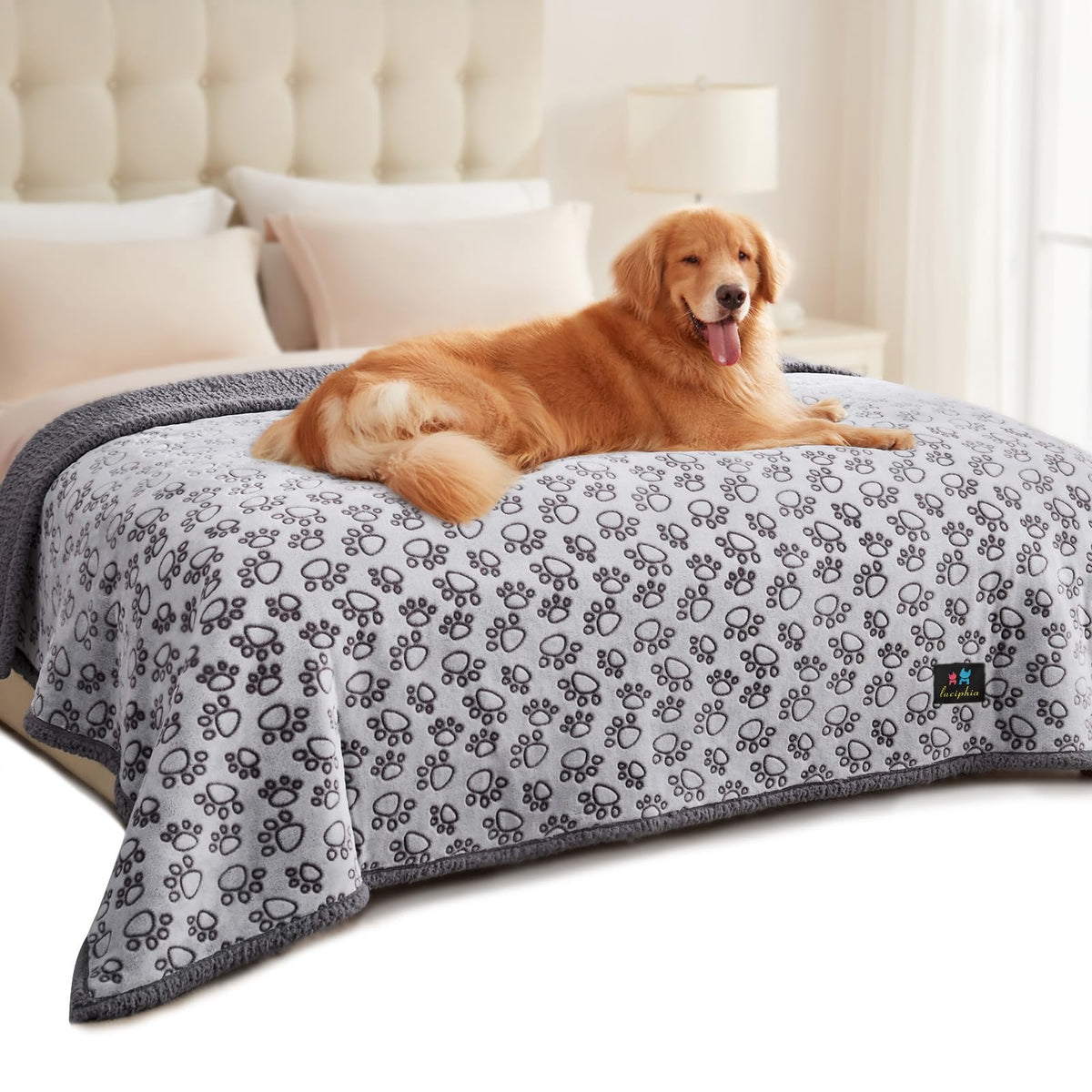 Luciphia Waterproof Dog Blanket Reversible Sherpa Fleece for Small Dogs Cat
