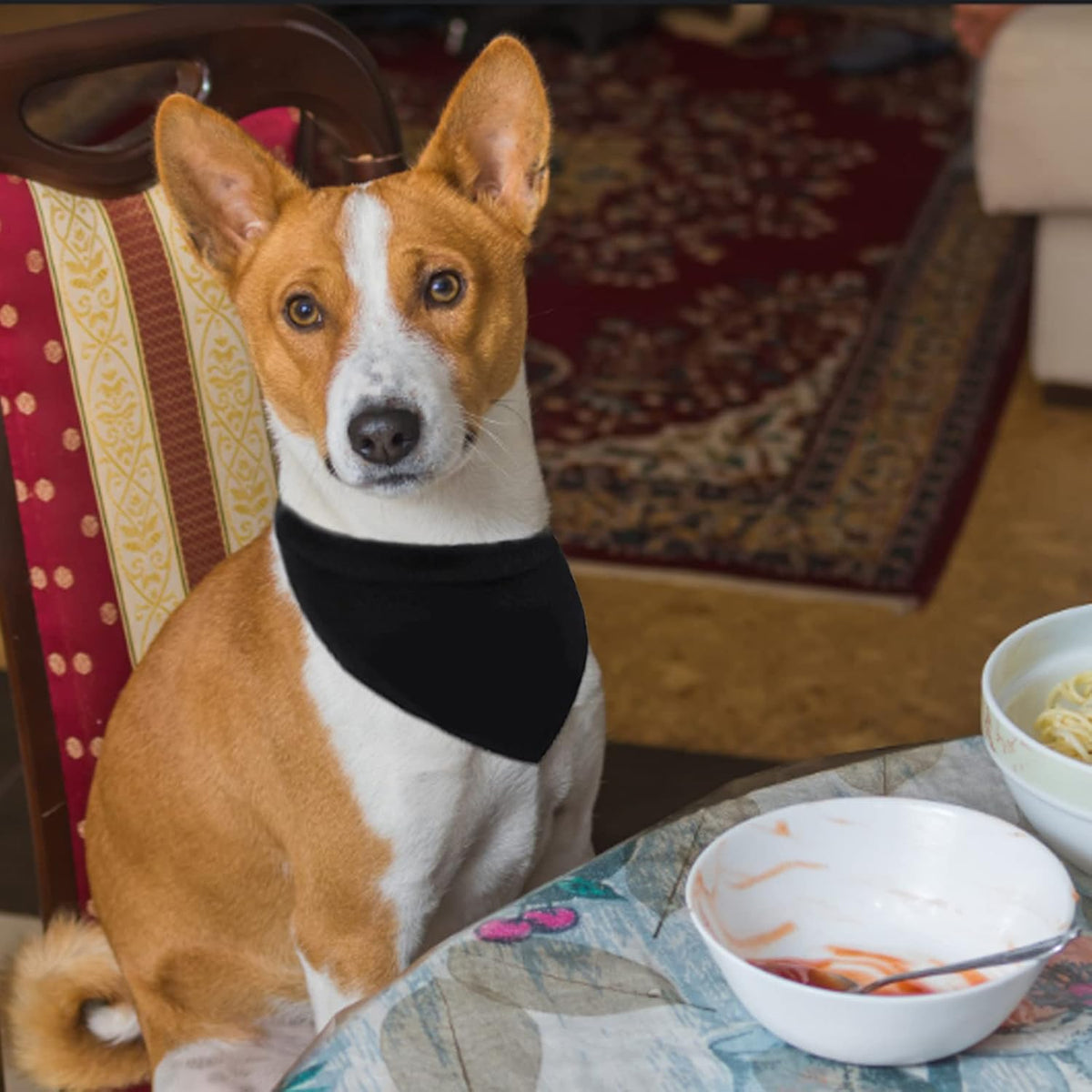 Plain Dog Bandanas, 12 PCS Black Dog Triangle Scarf Washable Pet Bandana for Dogs Cats, Black