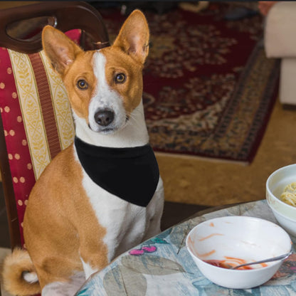 Plain Dog Bandanas, 12 PCS Black Dog Triangle Scarf Washable Pet Bandana for Dogs Cats, Black