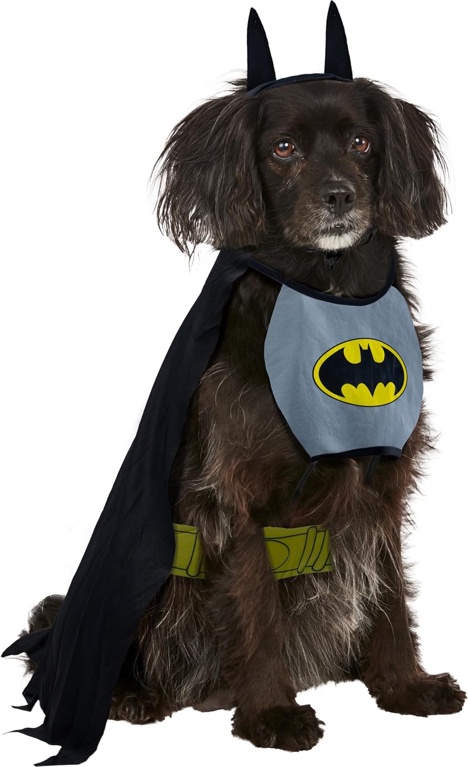 DC Comics Superheroes: Batman Pet Costume for Dogs or Cats by Rubies, Medium