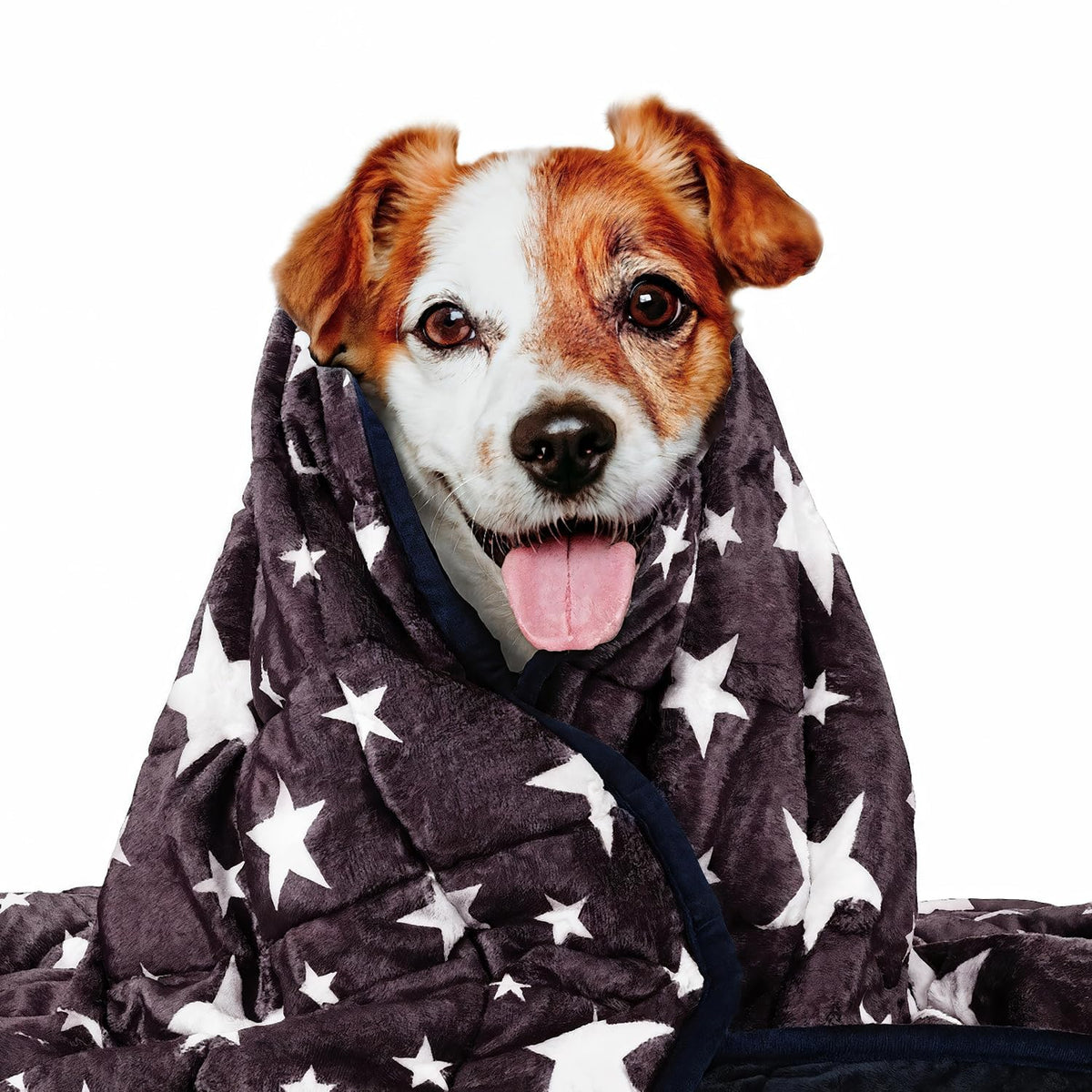LaSyL Weighted Blanket for Pets | Thunder Blanket for Dogs Anxiety | Premium Soft Minky | Relaxation & Calming & Anti Anxiety | Used in Car, Bed, Couch | Blue Grey Star, Washable Small (24"x32")