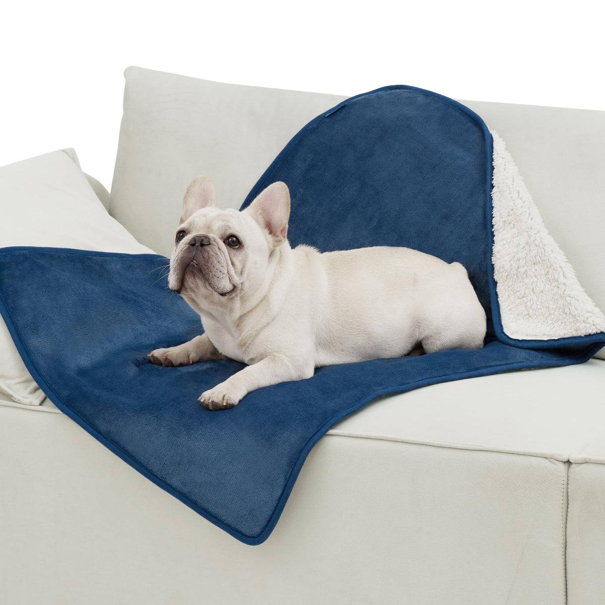 Bedsure Waterproof Dog Blankets for Large Dogs Sherpa Fleece Throw, 40X50