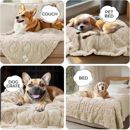 Luciphia 2 Pack Small Dog Blanket, Cozy Fleece Throw for Puppy Cat,30"x20"