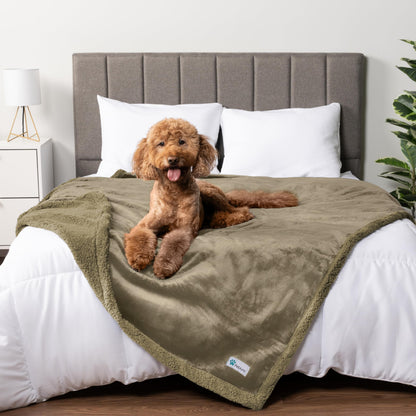 PetAmi Waterproof Dog Blanket for Large Dog Cat Pet, 60x80, Grey Sherpa