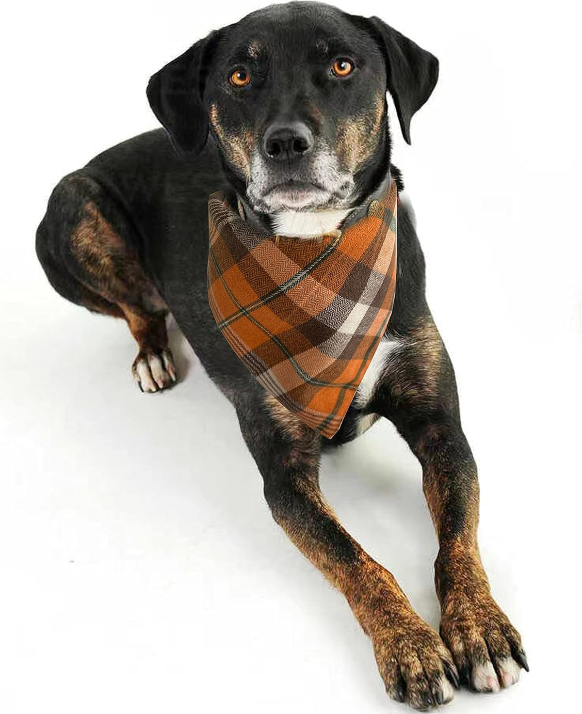 Realeaf Fall Dog Bandanas 2 Pack, Orange Plaid Pet Scarf for Boy and Girl, Premium Durable Fabric, Holiday Halloween Thanksgiving Bandana for Large and Extra Large Dogs (X-Large)