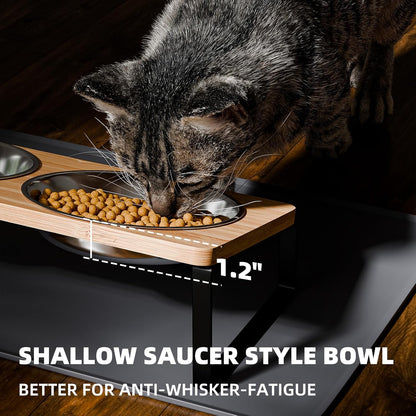 Elevated Whisker Friendly Cat Bowls, 15 Tilted Stand Anti Vomiting Raised Dishes for Food and Water, Stainless Steel Bowls for Cats and Puppy