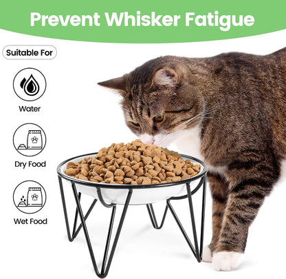Ceramic Cat Bowls, 2 Pack - Raised, Whisker Friendly, Anti-Vomiting Cat Food Plates - Hygienic, Secure Material, Elegant Stand, 10 oz, for Indoor Cats & Kittens