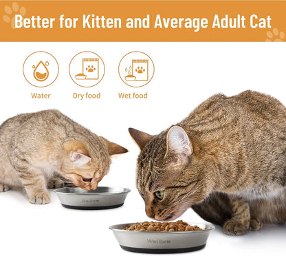 Cat Bowls, 304 Stainless Steel Non-Slip Wide Shallow, 2 Pack