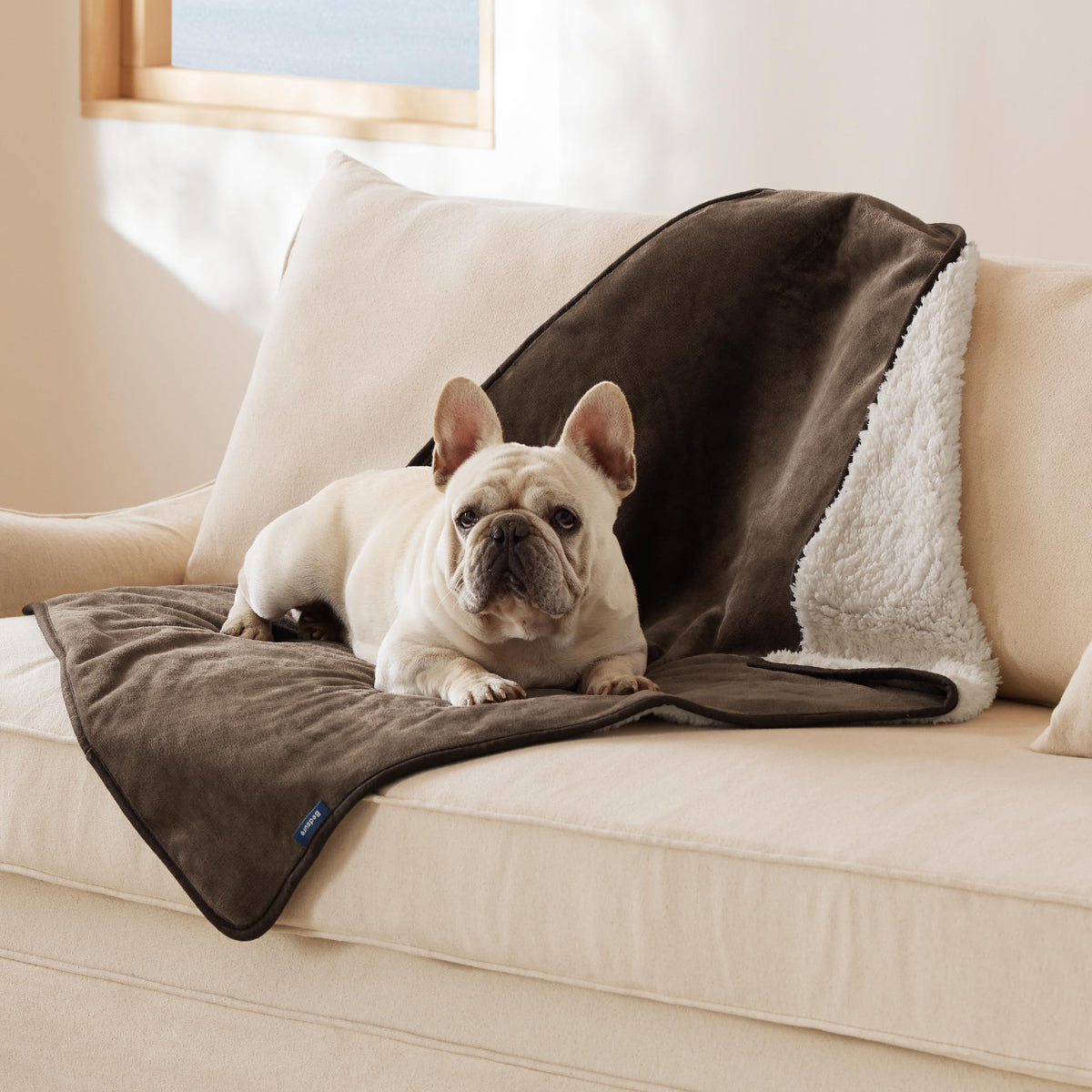 Bedsure Waterproof Dog Blankets for Large Dogs Sherpa Fleece Throw, 40X50