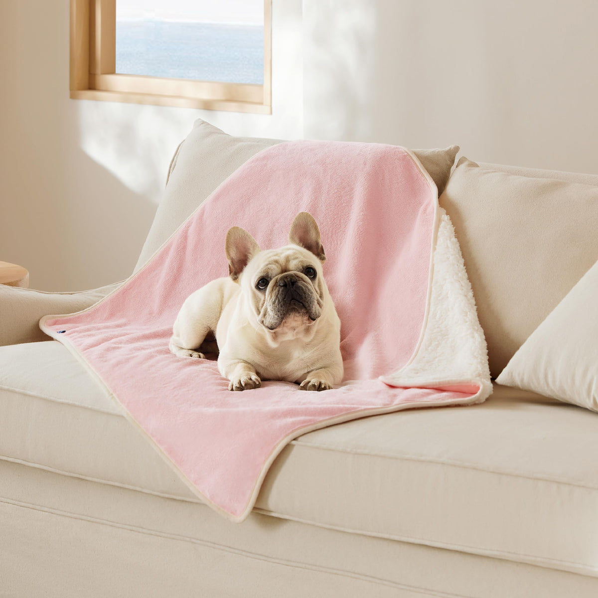 Bedsure Waterproof Dog Blankets for Large Dogs Sherpa Fleece Throw, 40X50