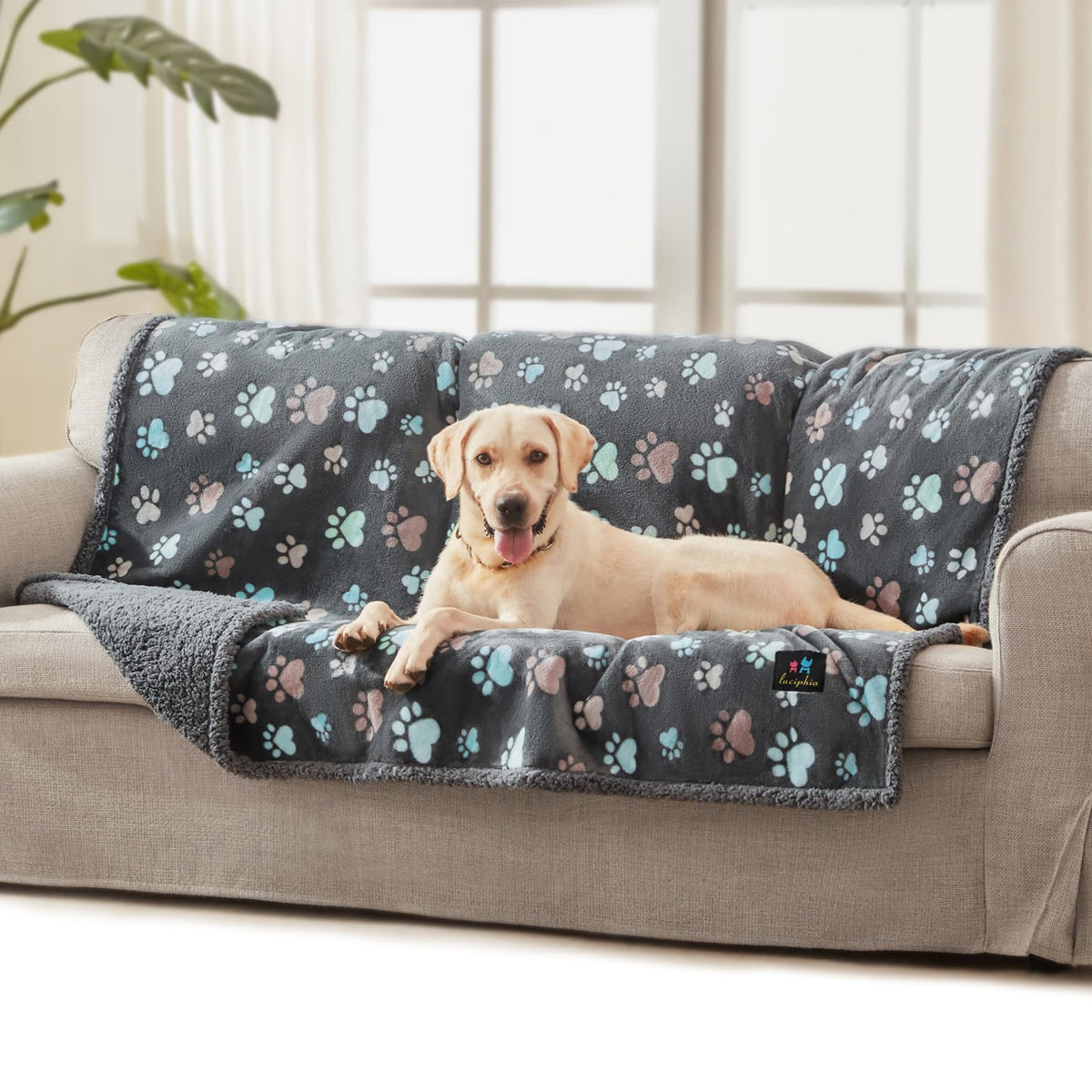 Luciphia Waterproof Dog Blanket Reversible Sherpa Fleece for Small Dogs Cat