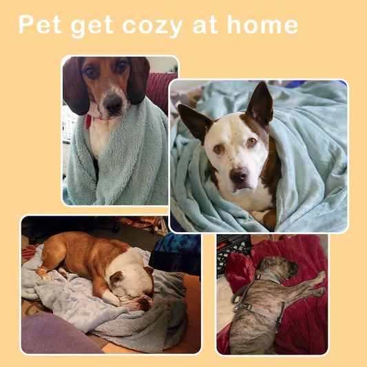Dog Blankets for Large Dogs, Super Soft Warm Sherpa Fleece Plush Doggie Blankets and Throws for Small Medium Puppy Doggy Pet Cats，50x60 inches