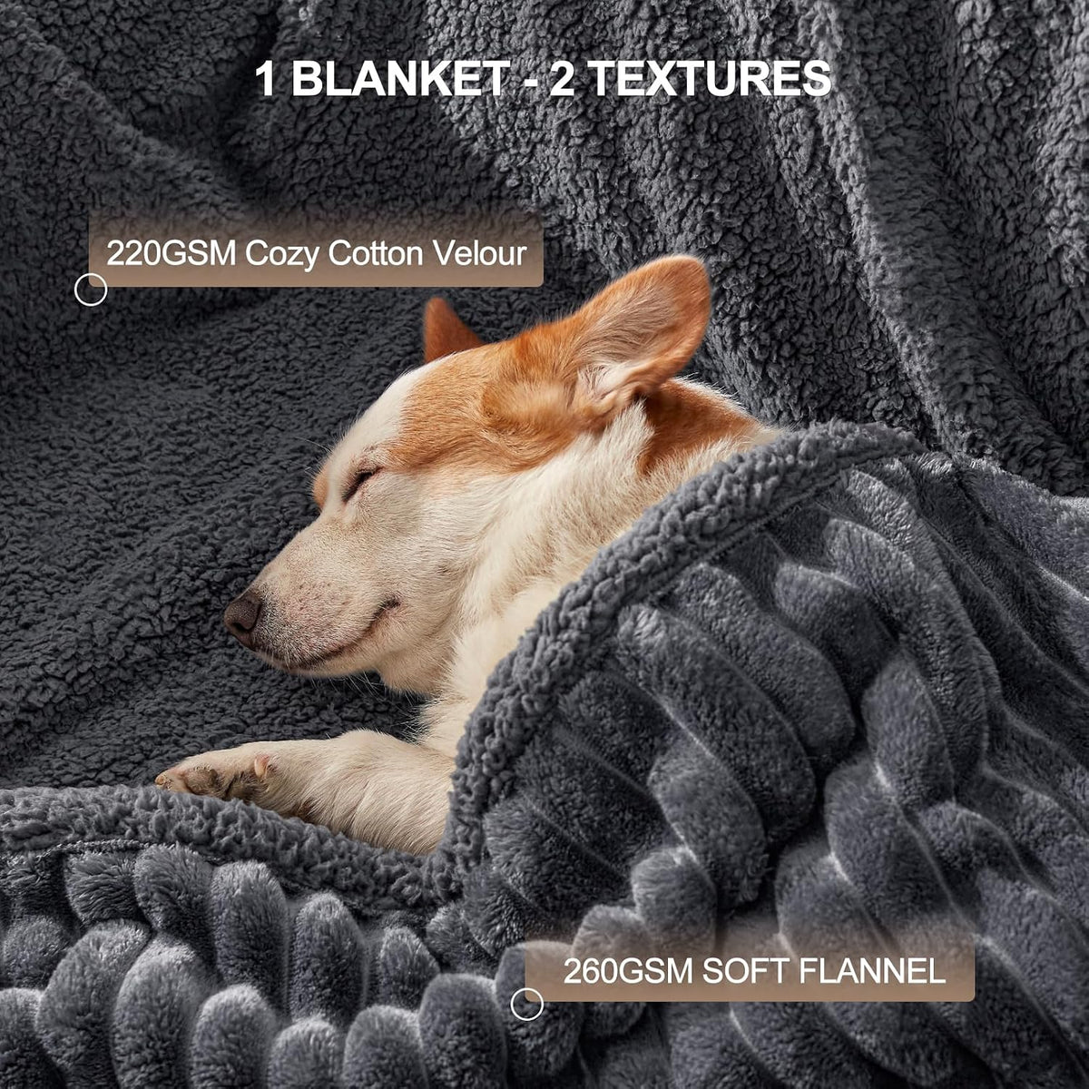 AIPERRO Waterproof Dog Blanket for Large Dogs, Washable Soft Puppy Cat Blanket Flannel Cotton Velour for Sofa Couch Protector, Comfort & Security Reversible Bed Protection for Pet, 50"X60", Gray
