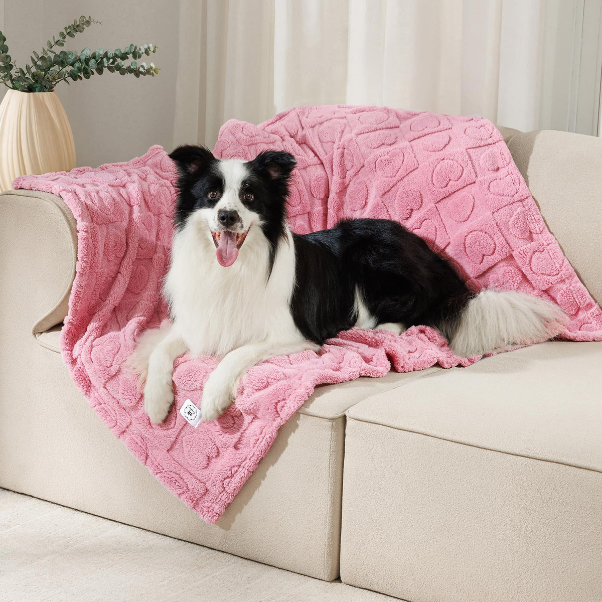 Luciphia 2 Pack Small Dog Blanket, Cozy Fleece Throw for Puppy Cat,30"x20"