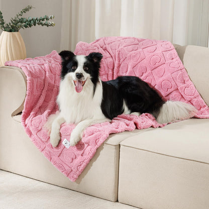 Luciphia 2 Pack Small Dog Blanket, Cozy Fleece Throw for Puppy Cat,30"x20"