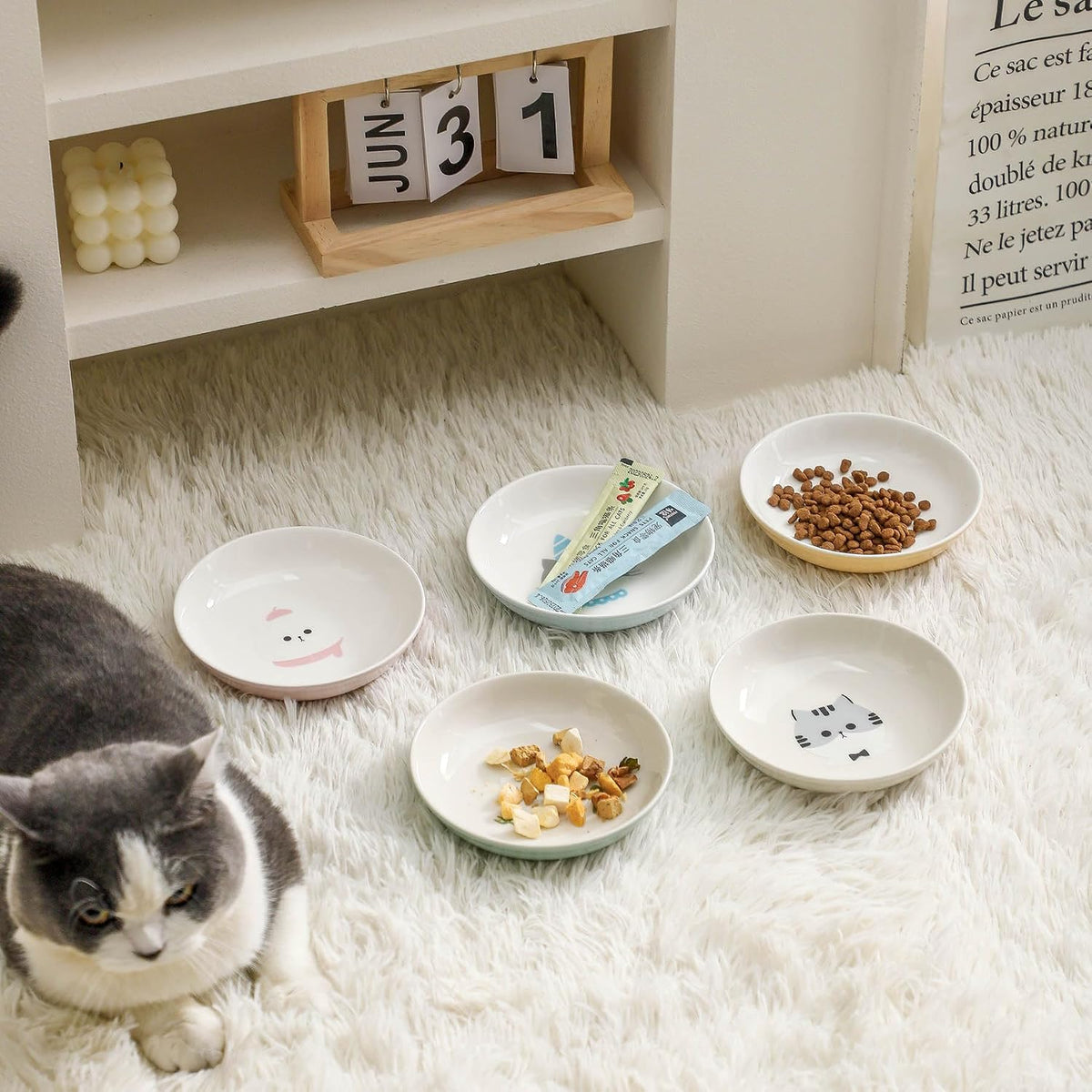 Ceramic Cat Bowls Set - 5.7 inch Wide Cat Food Bowls Whisker Fatigue Friendly, 5 Colorful Kitten Dish Plates with Cute Pattern for Wet and Dry Food Water