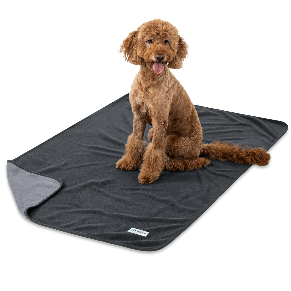 PetAmi Waterproof Dog Blanket, Leakproof Pee Proof Cat Blanket, 40x60 Paw