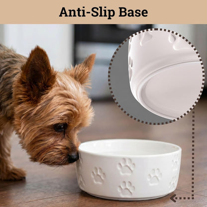 Ceramic Dog Bowl Set of 2 with Anti-Skid Base, 5.5"W x 2"H, 2 Cup Capacity