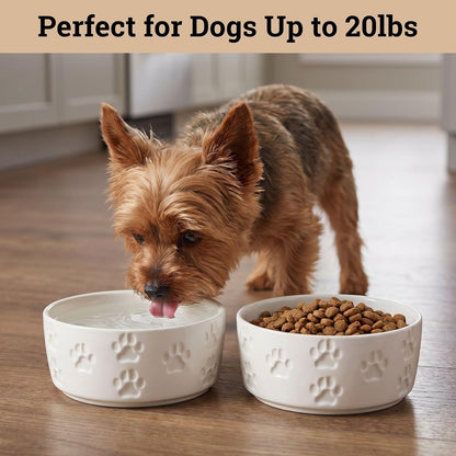 Ceramic Dog Bowl Set of 2 with Anti-Skid Base, 5.5"W x 2"H, 2 Cup Capacity