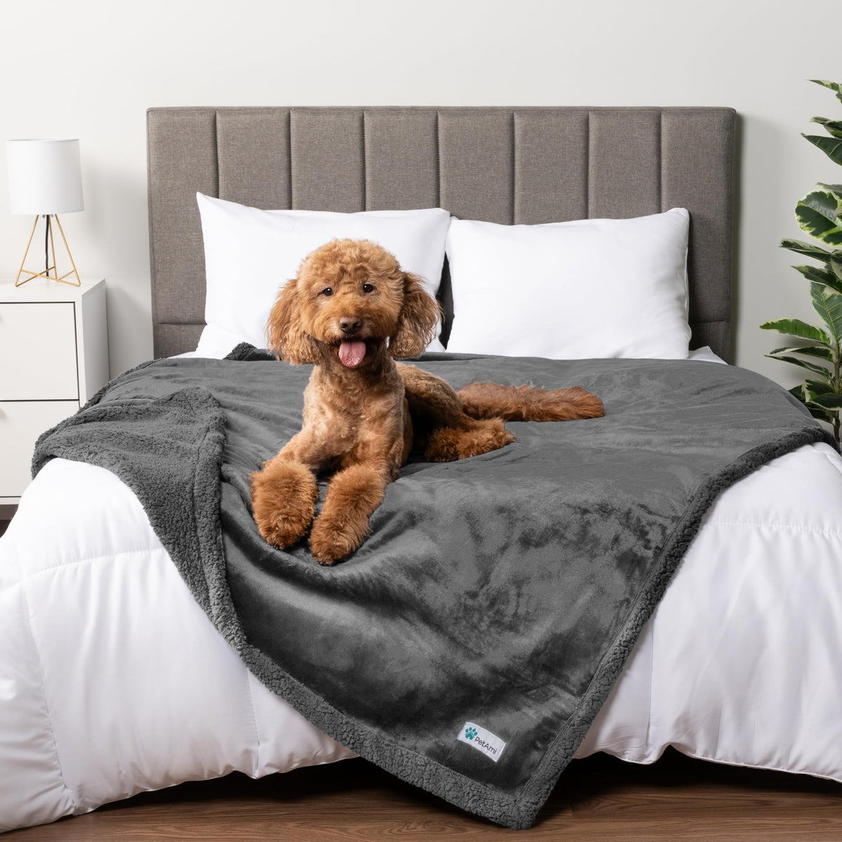 PetAmi Waterproof Dog Blanket for Large Dog Cat Pet, 60x80, Grey Sherpa