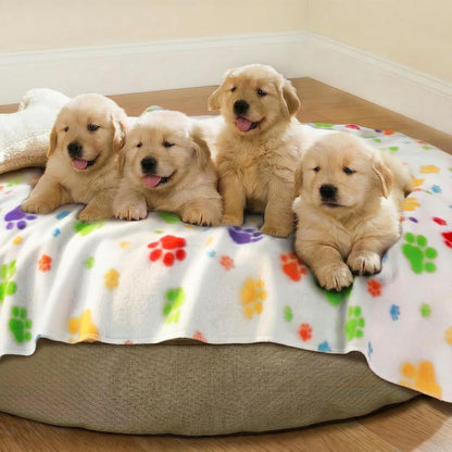 LINENLUX Fleece Dog Blankets 6-Pack, Soft Stretchy for Small Medium Puppy