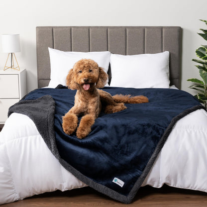 PetAmi Waterproof Dog Blanket for Large Dog Cat Pet, 60x80, Grey Sherpa
