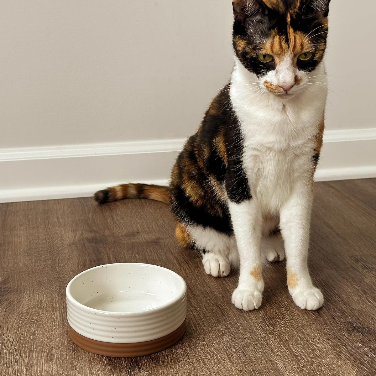 Mora Ceramic Pet Bowl Size Small - Food/Water Dish for Puppy Dogs, Cats, Guinea Pig, Rabbit, Hamster, Snake, ect. 11oz or 2 Cups - Basic Bowls for Your Dog or Cat, Mix and Match for a Set - Vanillla