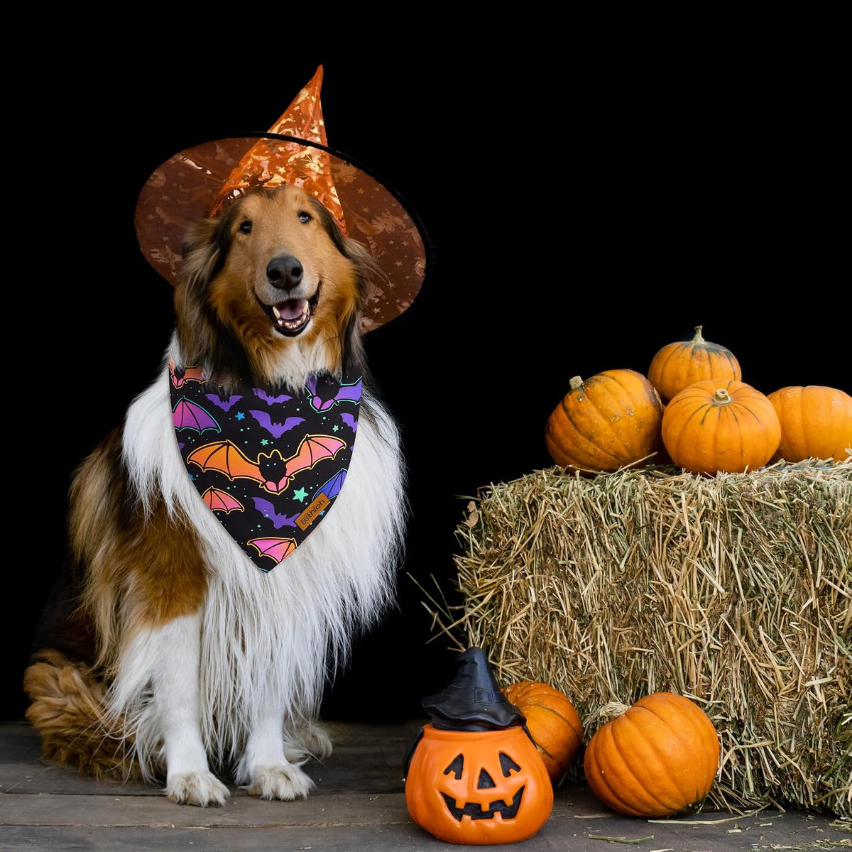 Halloween Dog Bandanas - 2 Pack Reversible Pumpkin and Bat Pet Scarf for Boys and Girls | Fall Dog Bibs | Premium Durable Fabric | Holiday Dog Bandana for Small and Medium Dogs (Small)