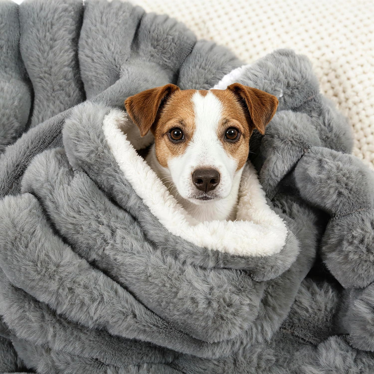 Dog Blanket for Small Dogs, Soft Rabbit Fur Puppy Blanket 25x35 Grey