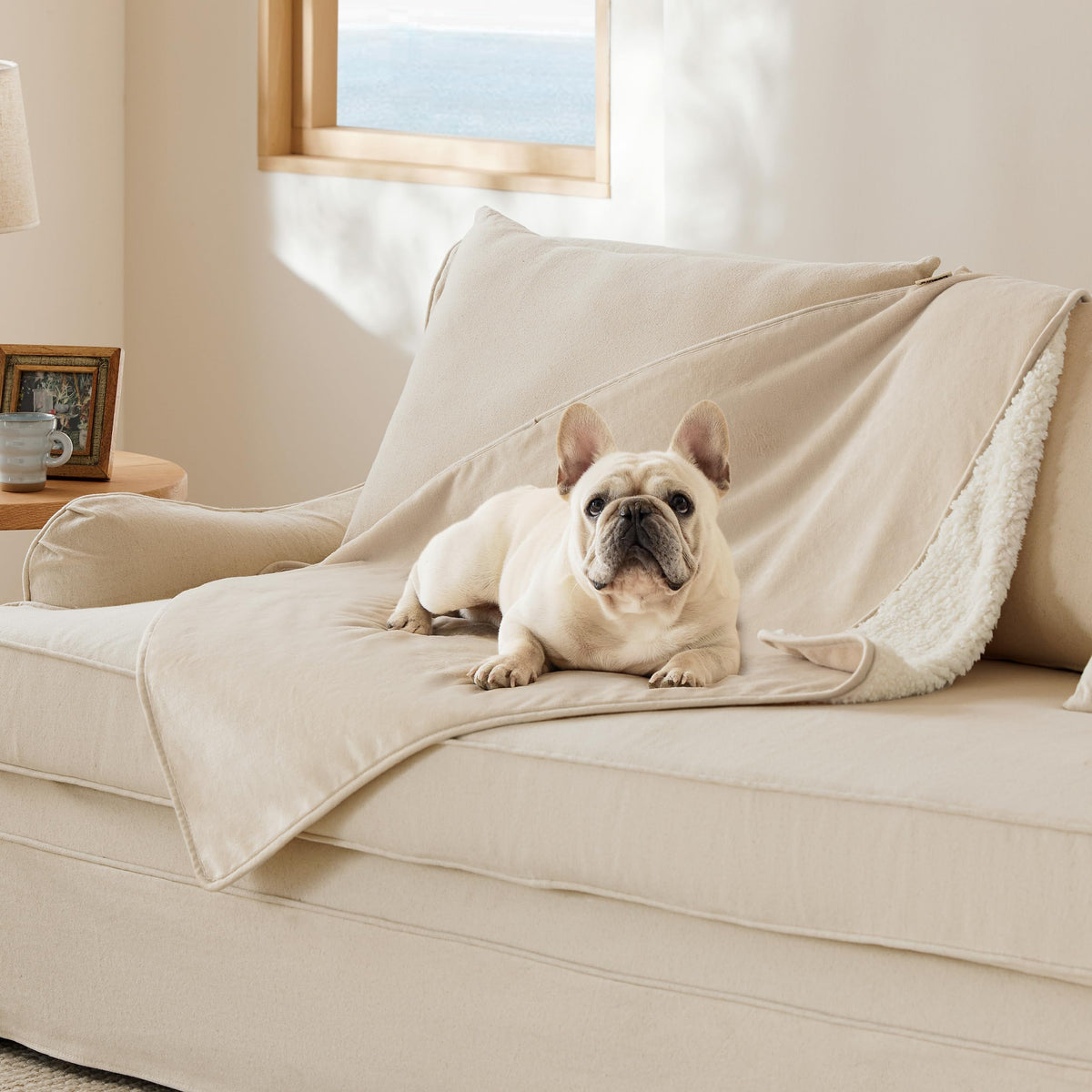 Bedsure Waterproof Dog Blankets for Large Dogs Sherpa Fleece Throw, 40X50