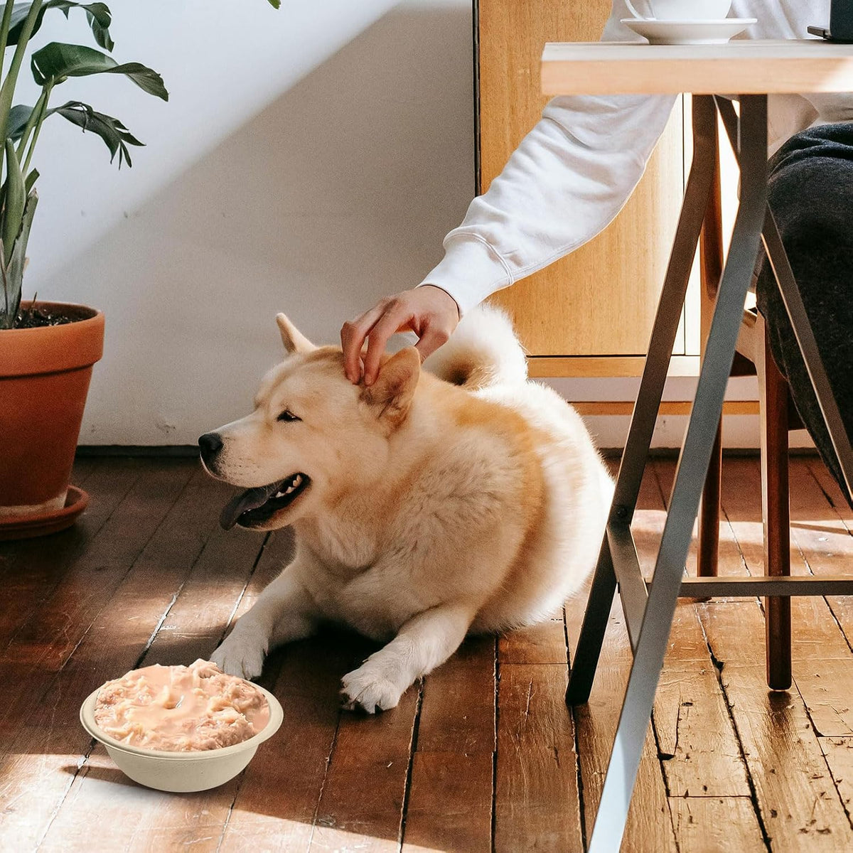 Disposable Pet Food Bowls, 200pcs Pet Disposable Feeding Bowls