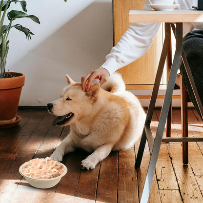 Disposable Pet Food Bowls, 200pcs Pet Disposable Feeding Bowls