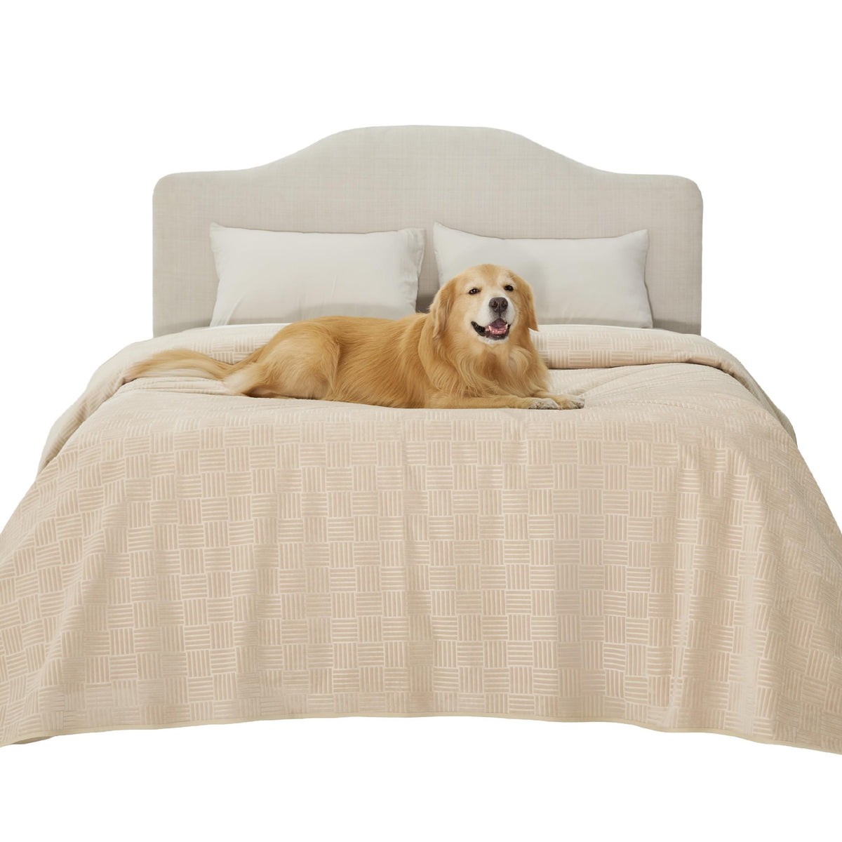 Bedsure Waterproof Couch Cover for Sofa and Dogs Quick Drying, 52x82IN