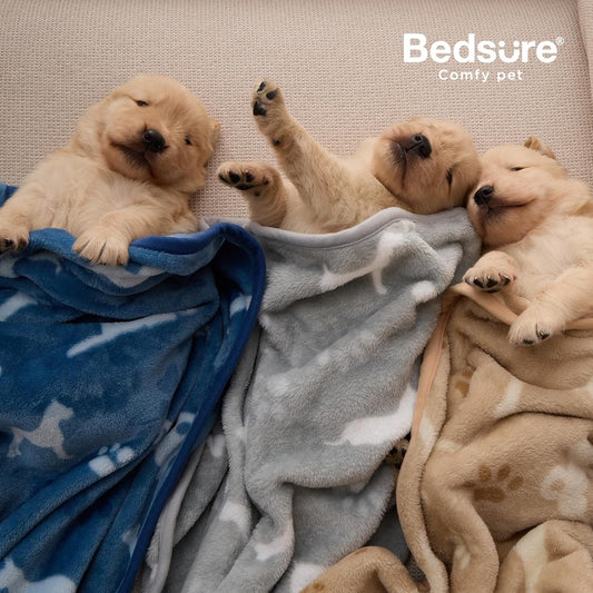 Bedsure Dog Blanket for Small Dogs Puppy, Flannel Fleece, 3-Pack 23x16