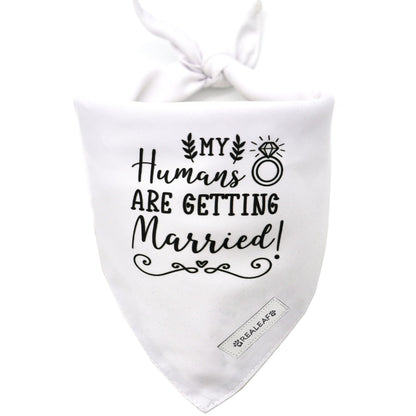 Realeaf Big Brother Big Sister Dog Bandanas Pet Scarf for Medium and Large Dogs New Baby Announcement Pet Accessories Pregnancy Reveal Ideas (X-Large)