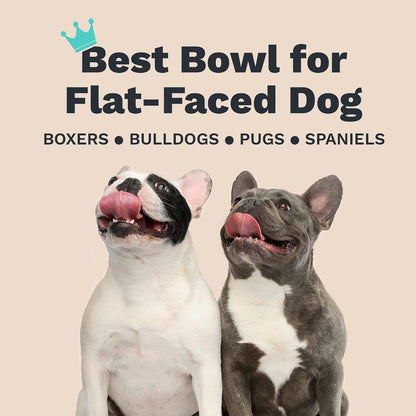 Enhanced Pet Bowl – Slanted Stainless Steel Dog Bowl for Breeds Like Bulldogs, Pugs – Raised Back, No-Spill, Reduces Gas & Mess – Medium Size, Non-Slip, Food-Grade - Does Not Ship from China