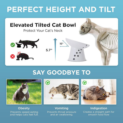 Necoichi Ceramic Elevated Cat Food Bowl, 15° Tilted (Cat, Extra Wide Tilted)